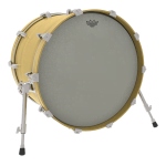 Превью REMO RA-0016-SS 6" Renaissanse Ambassador1 6
