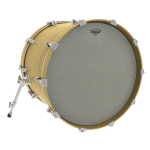 Превью REMO RA-0016-SS 6" Renaissanse Ambassador1 5