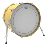 Превью REMO PS-0308-00 8" Pinstripe clear 5