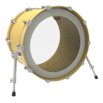 Превью REMO P4-1322-C2 22" Powerstroke P4 Clear 2
